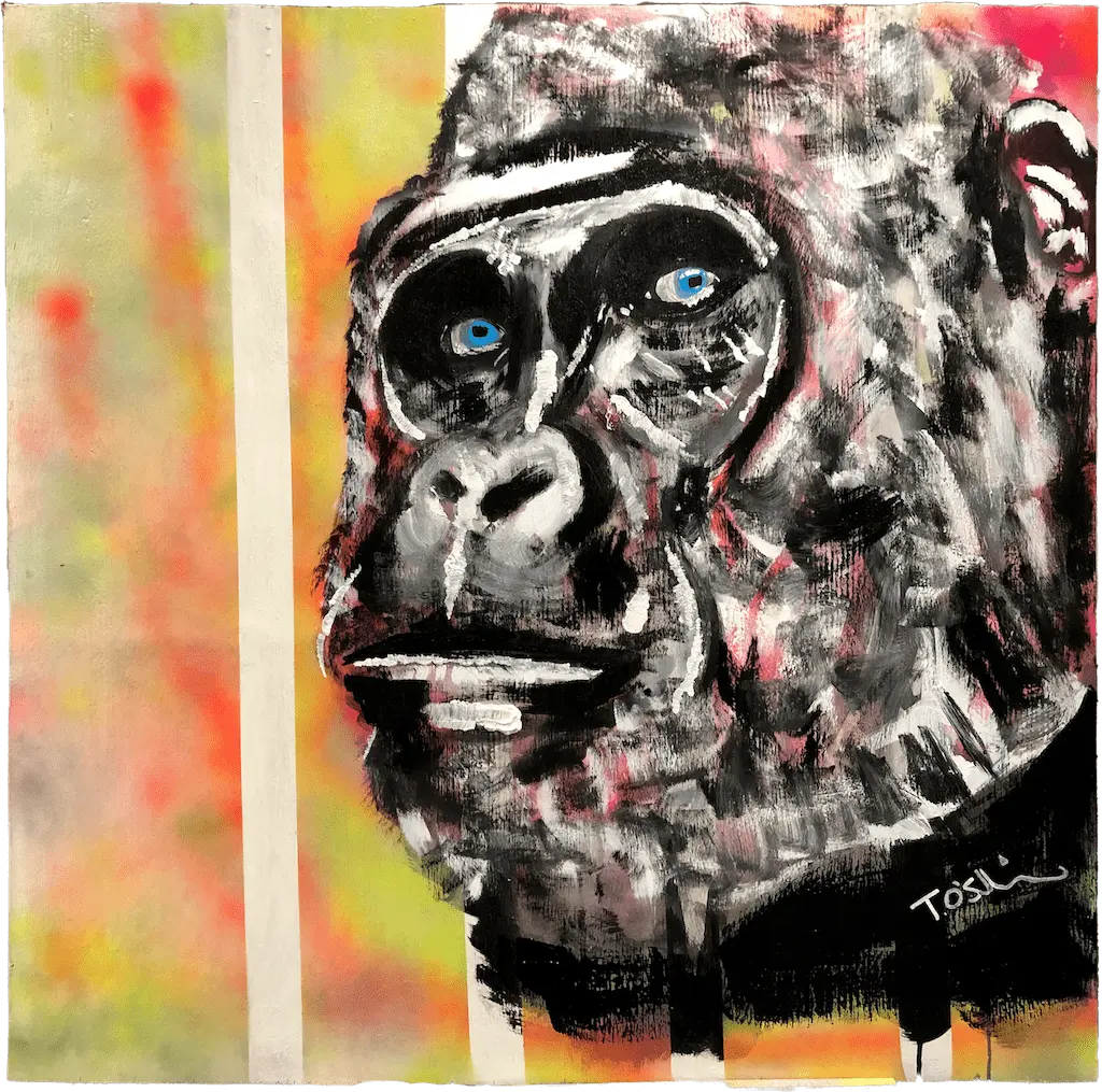 Gorilla