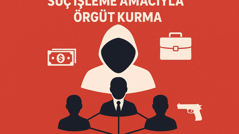 TCK m. 220 Suç İşlemek Amacıyla Örgüt Kurma