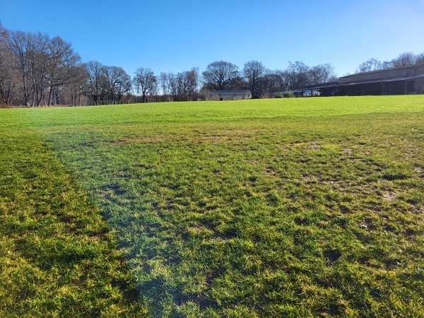 Expansive open green meadow field backed by dense woodland in South Chailey, Love Locations BN8.