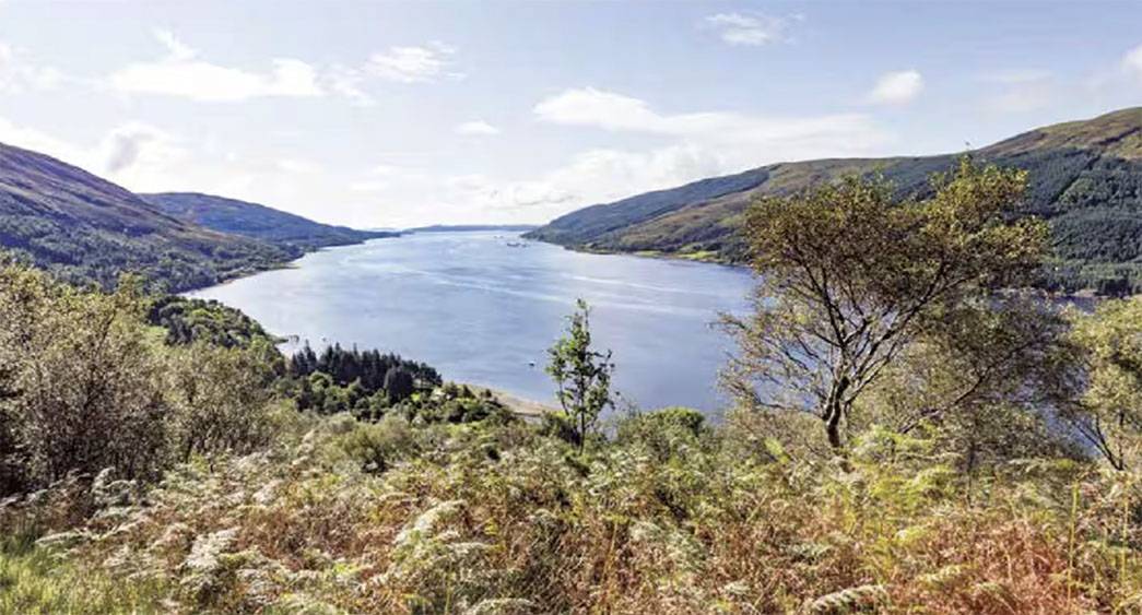 Scenic view of Loch Striven valley from Glenstriven Estate, showing waterway framed by forested hills