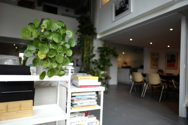 site image