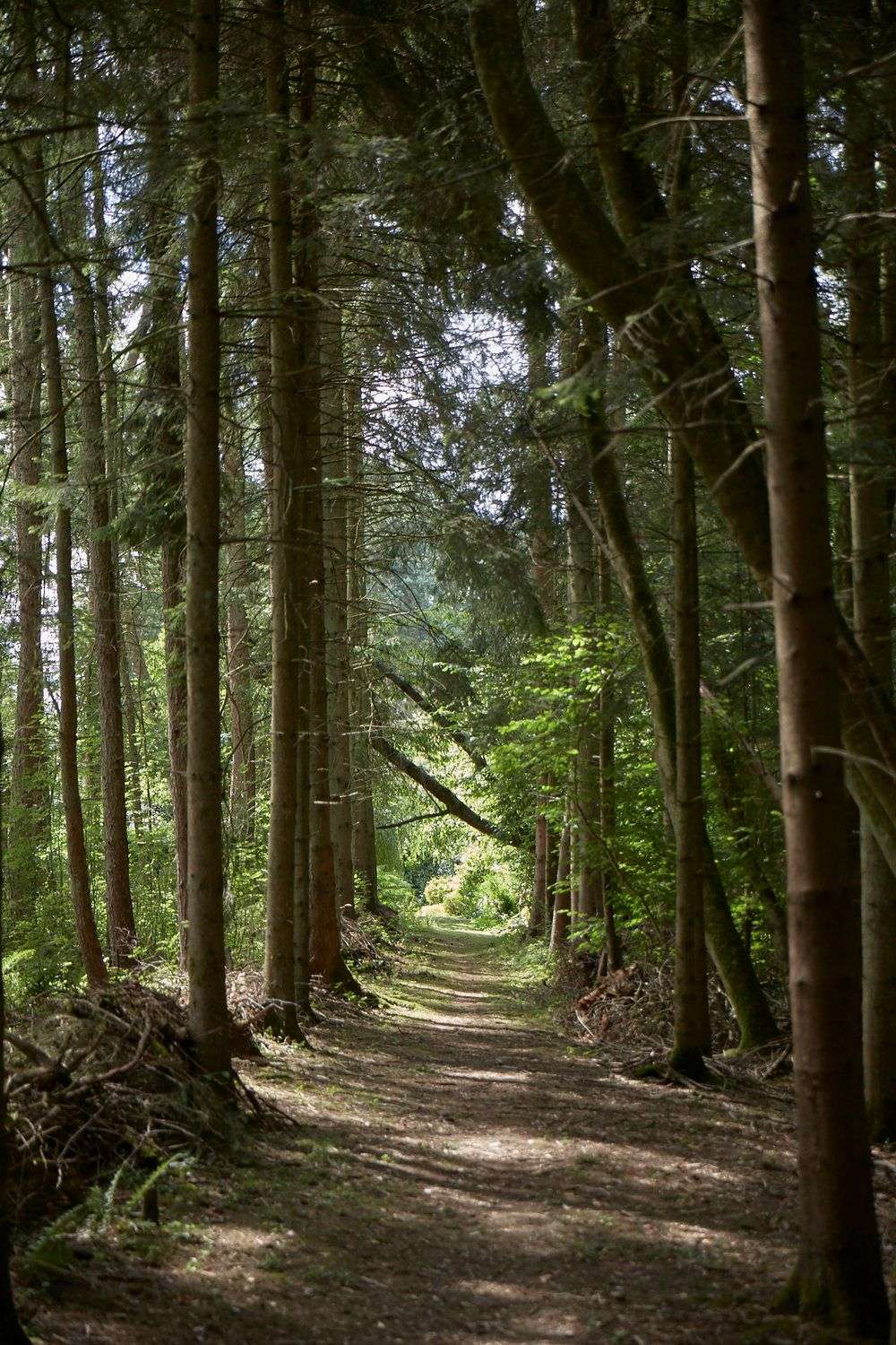 site image