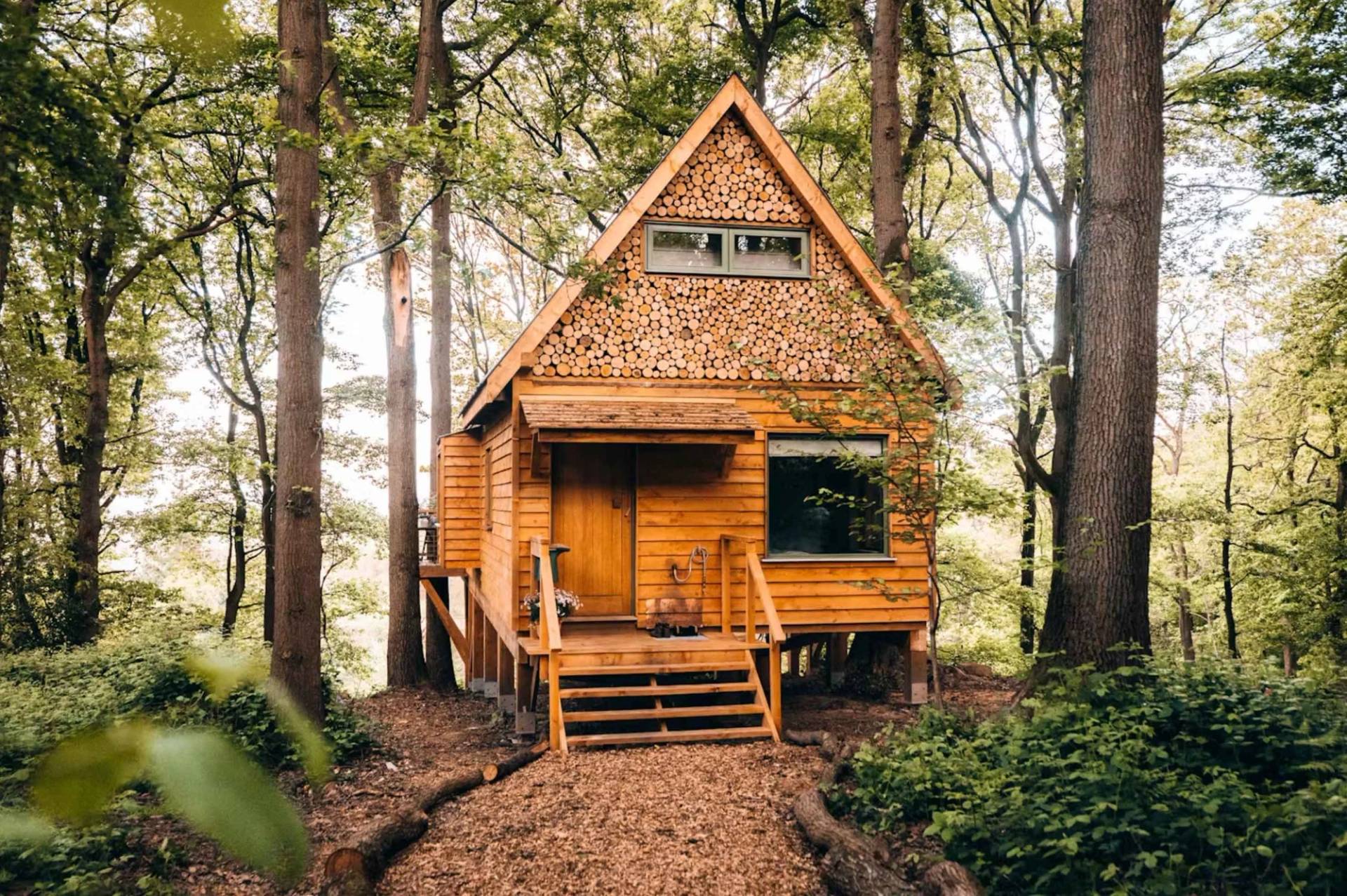 Front view of a beautiful, secluded A-frame wooden treehouse cabin at the end of a winding forest trail, spectacular film set via Love Locations.