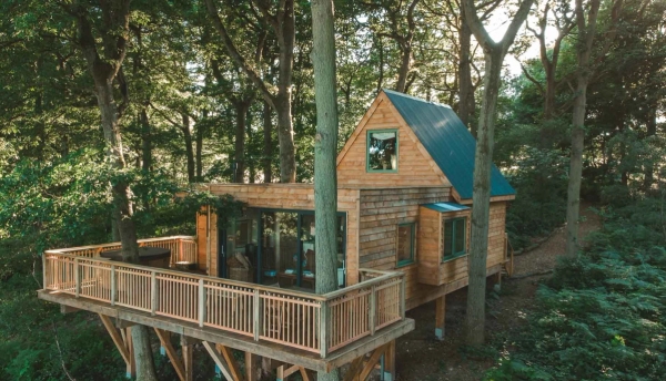 High-angle exterior look at a modern architectural timber treehouse built directly into a dense green woodland canopy, managed by Love Locations.