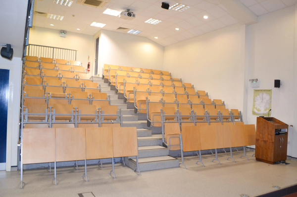 site image