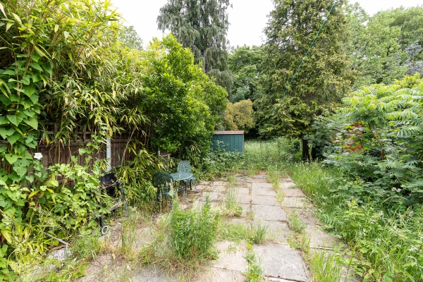Love Locations rustic courtyard garden Forest Gate: Enclosed East London terrace garden with stone paving, wild green foliage, and mature trees, great for casual outdoor lifestyle filming.