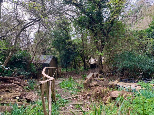 site image