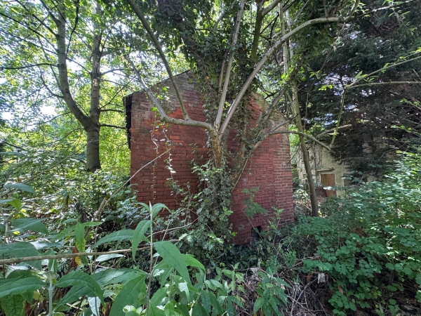Overgrown red brick outbuilding surrounded by dense ivy and wild trees on a derelict estate, managed by Love Locations.
