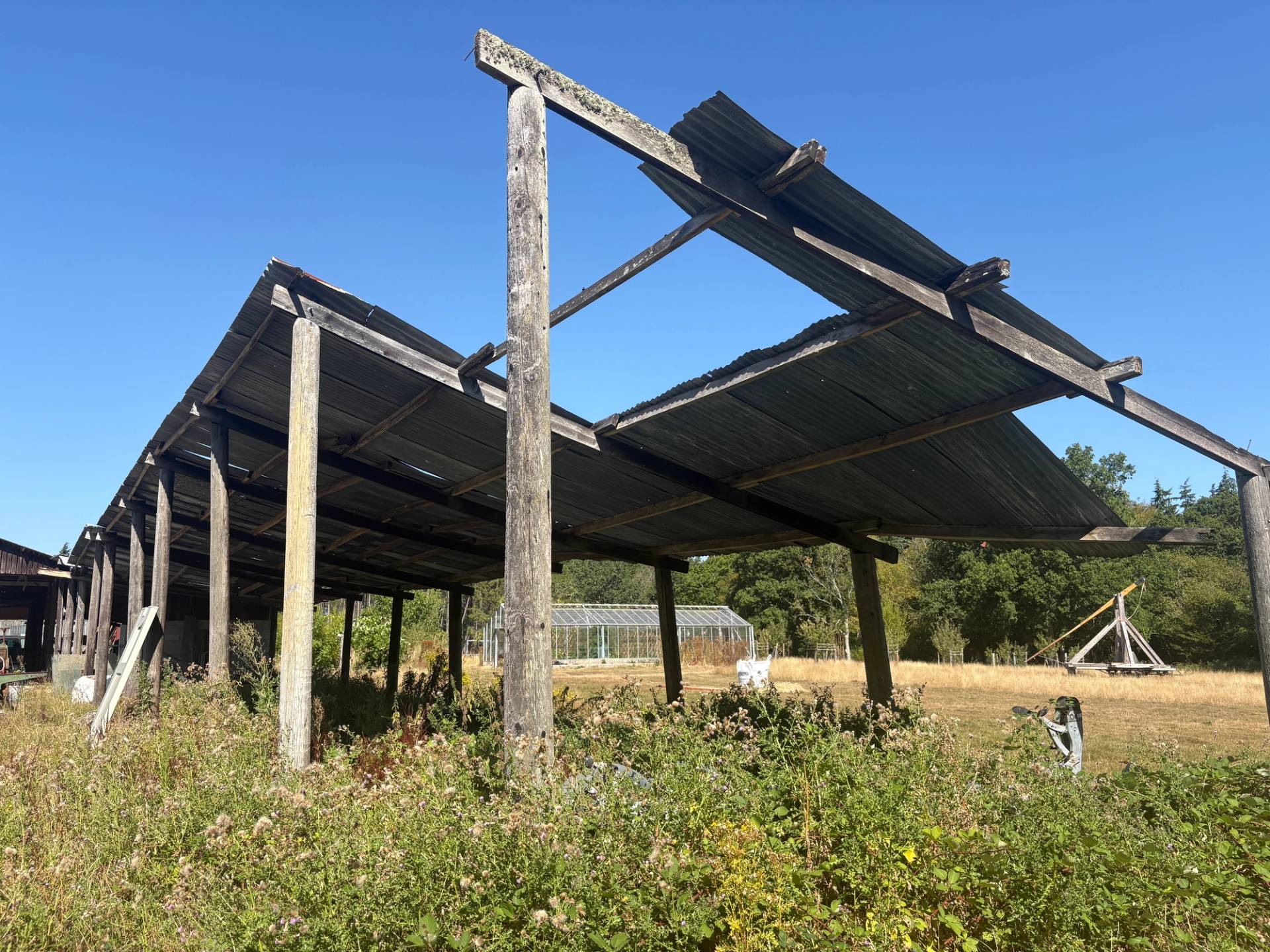 Open timber frame pole barn structure with pitched corrugated roof panels set in overgrown grassy fields, Love Locations BN8.