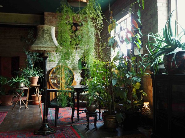 site image