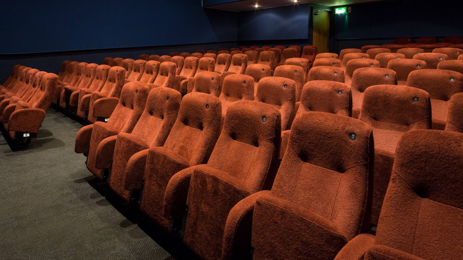 Detailed view across multiple rows of plush red velvet theater chairs inside The Ritzy Screen 3 production space, curated by Love Locations.