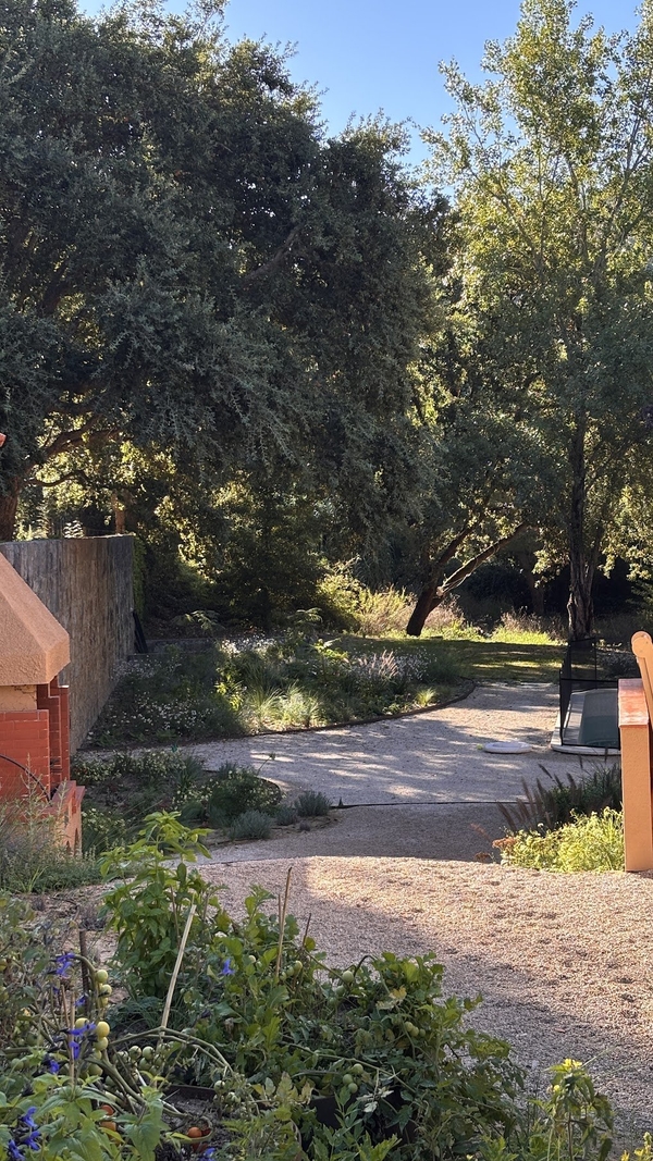 Gravel driveway and stone terrace wall bordered by natural woodland gardens, Love Locations 2705-064.