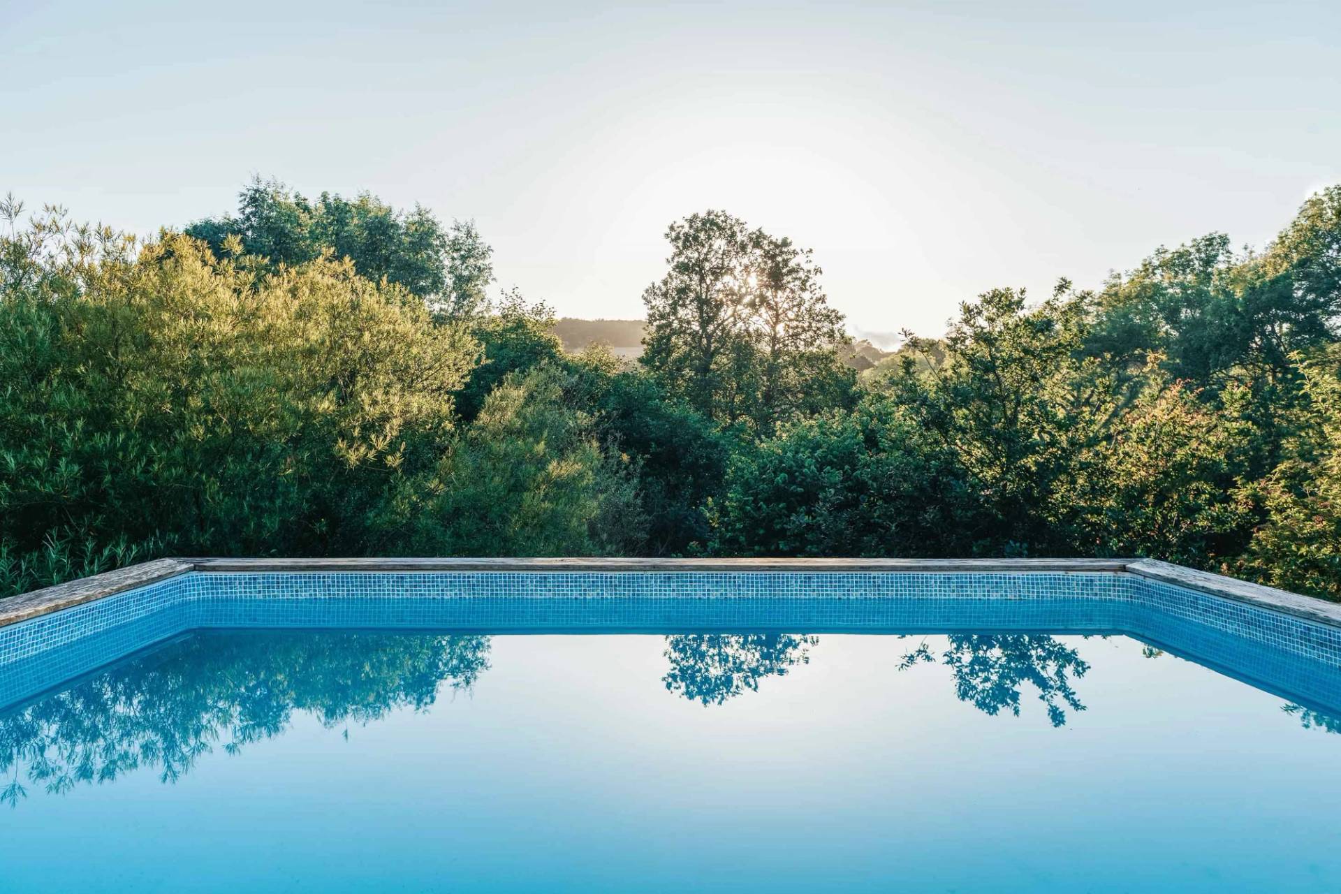 Luxury outdoor swimming pool location in Ipplepen Totnes Devon TQ12 through Love Locations, surrounded by natural stone paving and mature trees.