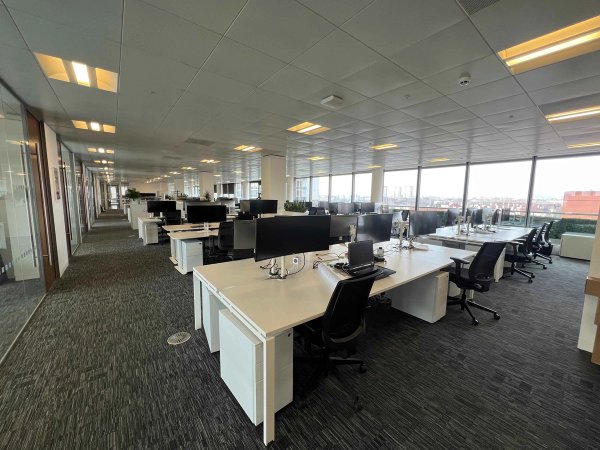 site image