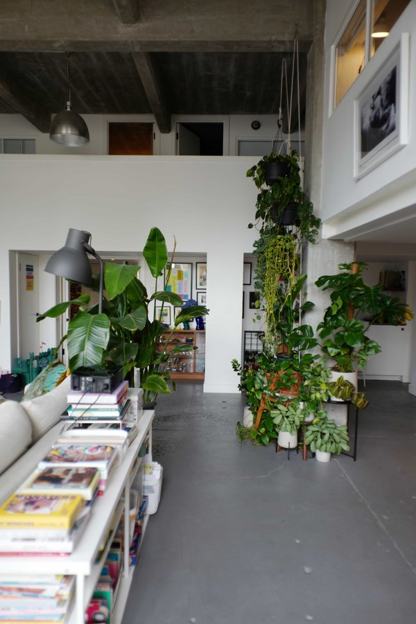 site image