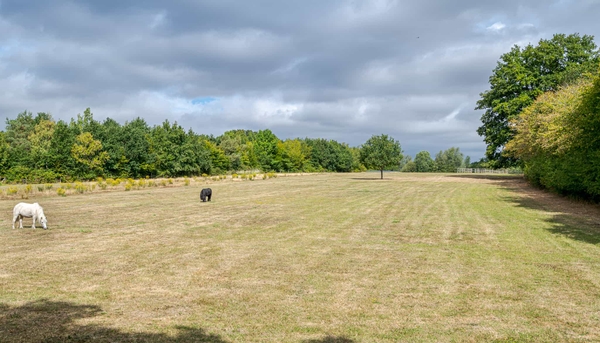 Long driveway approach to rural barn in Essex, Love Locations