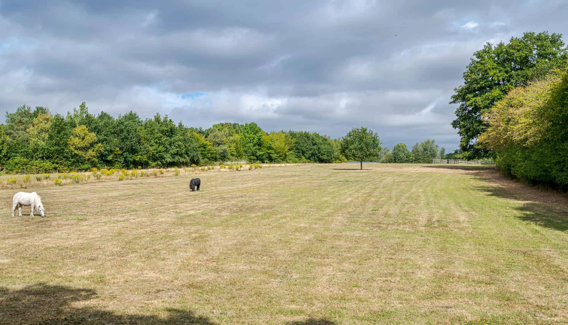 Long driveway approach to rural barn in Essex, Love Locations