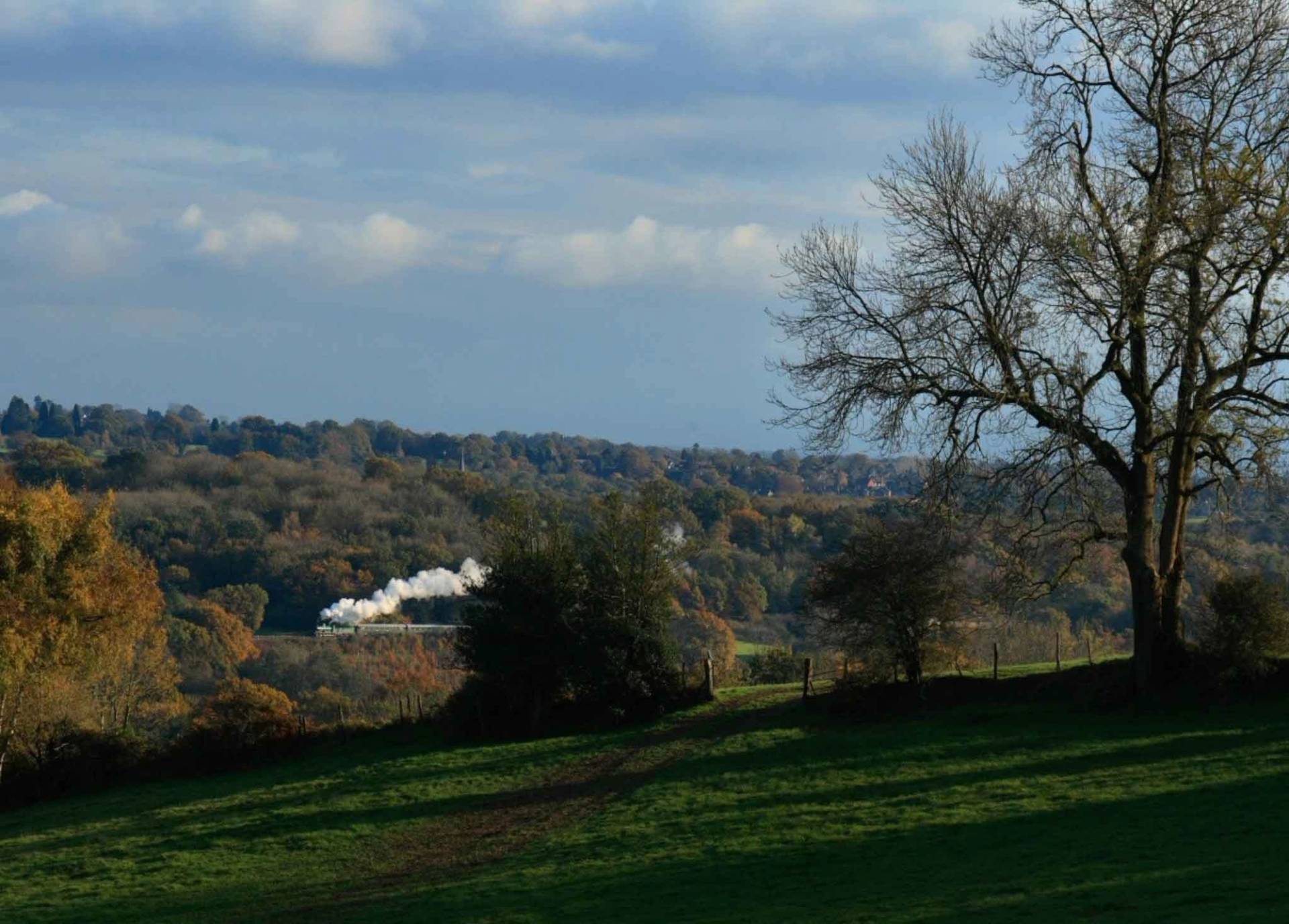 Scenic rural landscape view of steam rising from a train crossing countryside meadows in Sussex, Love Locations.
