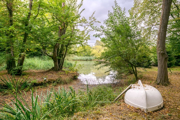 Woodland area within private grounds in Essex, Love Locations
