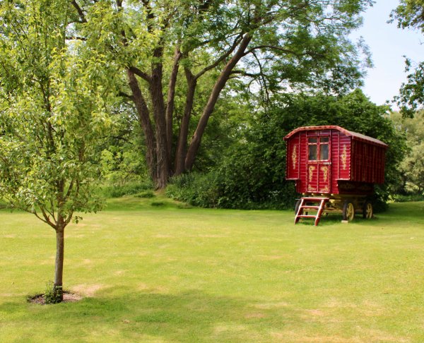 site image