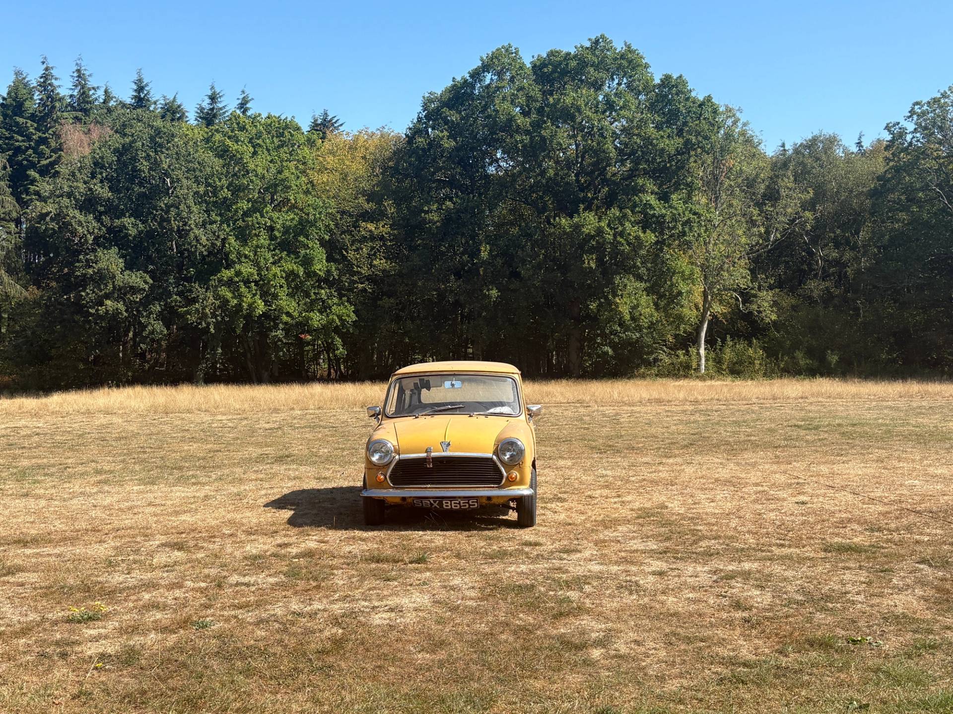Front view of a vintage yellow Austin Mini car set in an open grass paddock field for prop filming, Love Locations BN8.