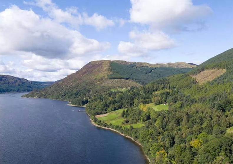 Woodland shoreline and hillside landscape beside Loch Striven at Glenstriven Estate.