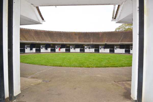 site image