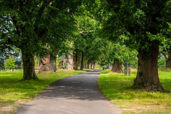 Private gated tree-lined driveway offering a tranquil and exclusive entrance to Greentrees country retreat, via Love Locations.