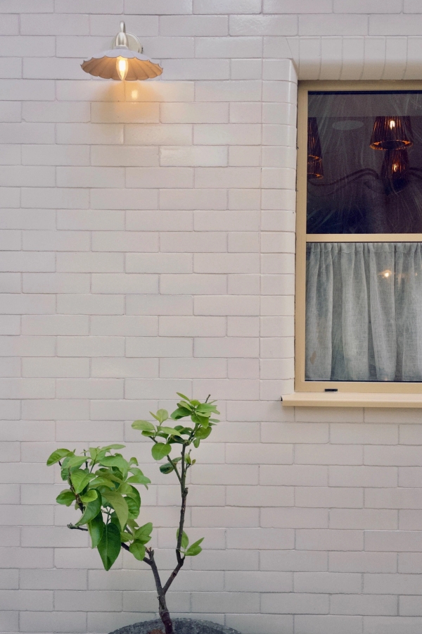 Textured white brick exterior wall detail next to a multi-pane sash window with fresh greenery, unique architectural backdrop by Love Locations.
