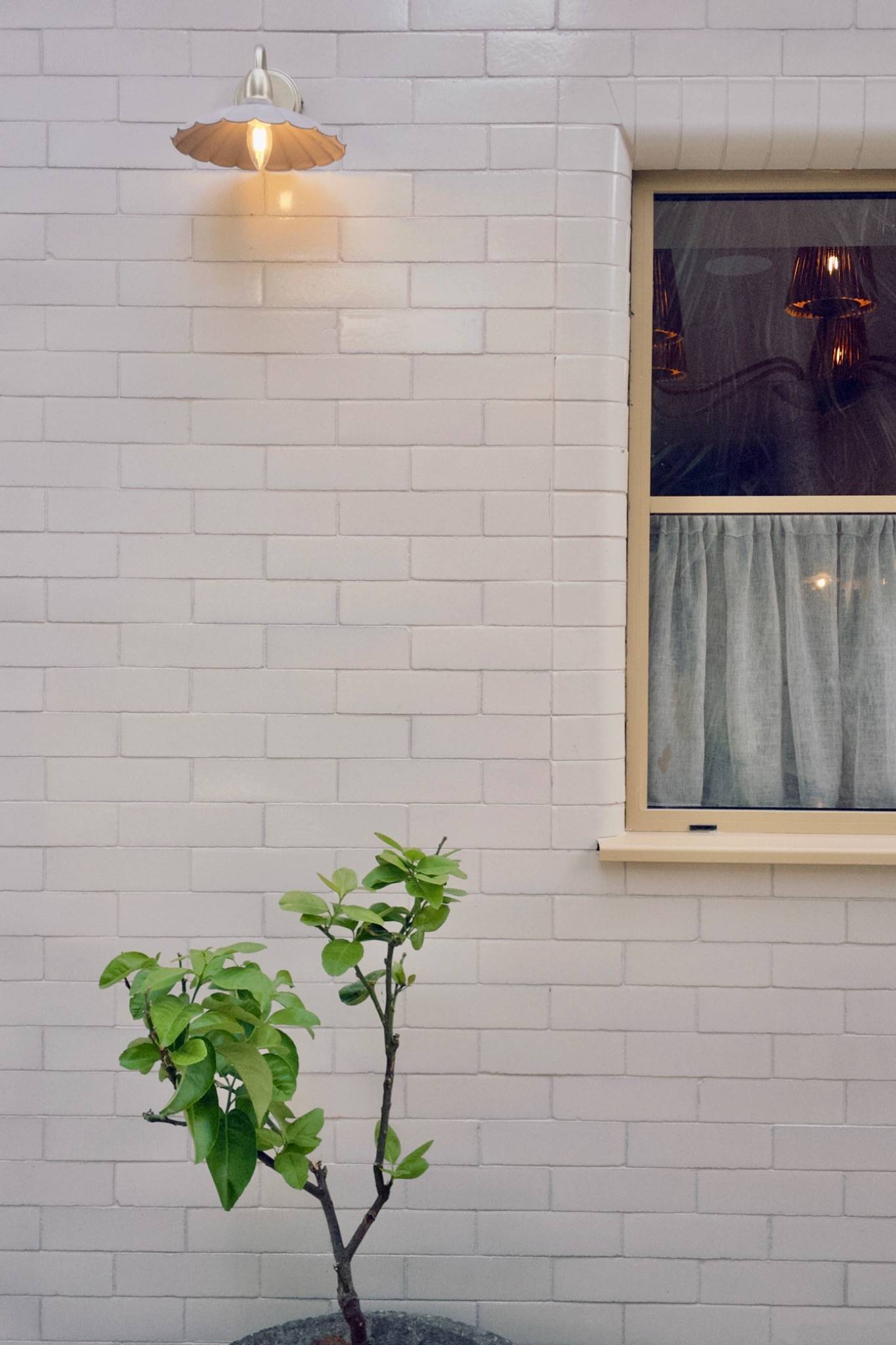 Textured white brick exterior wall detail next to a multi-pane sash window with fresh greenery, unique architectural backdrop by Love Locations.