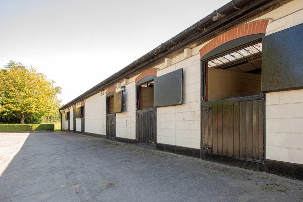 site image