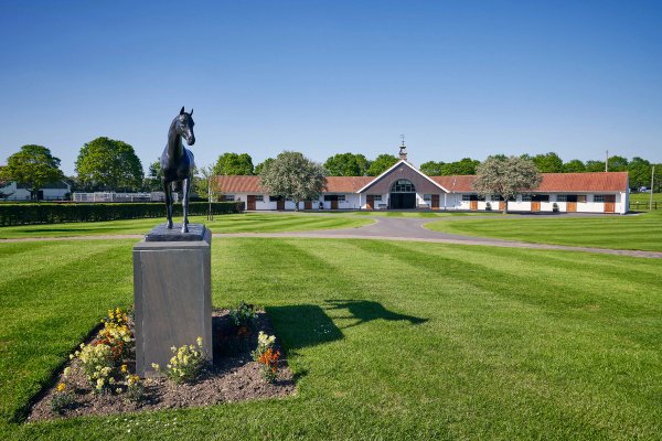 site image