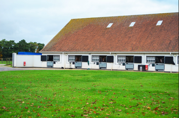 site image