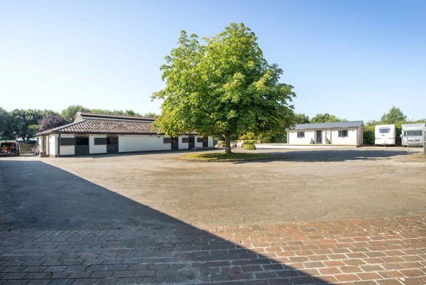 site image