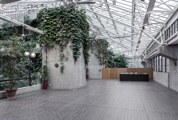 site image