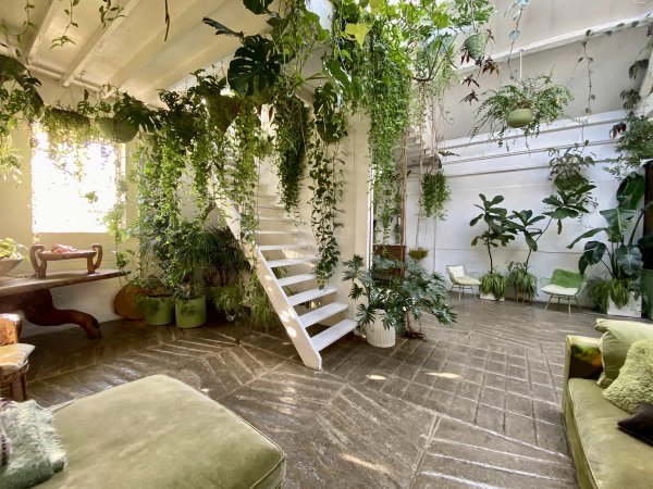 site image