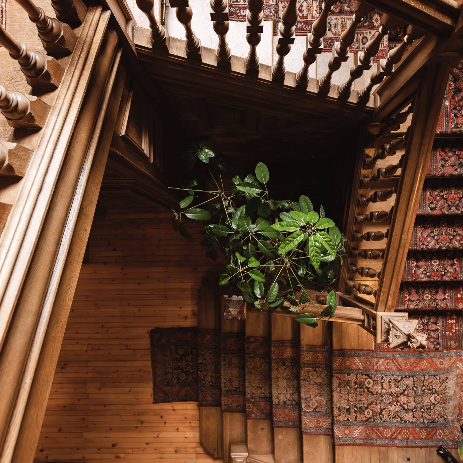 Carved dark wood spiral staircase detail in a historic Scottish castle interior, Love Locations KY15.