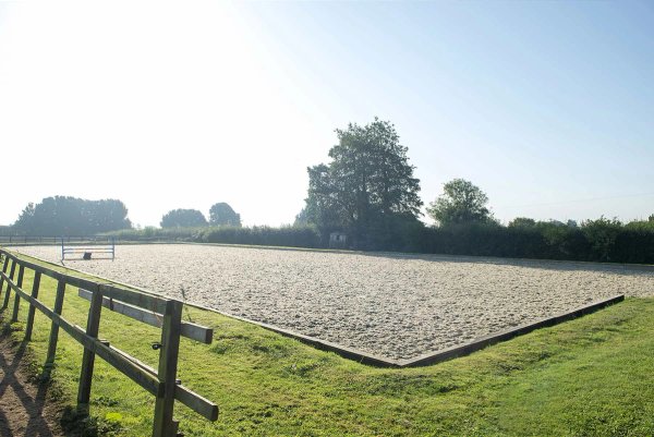 site image