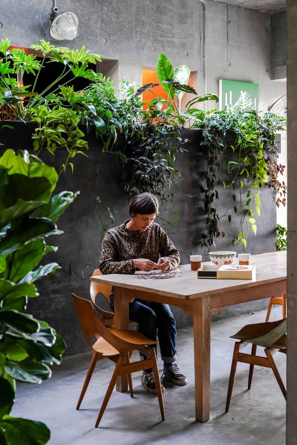 Bright indoor-outdoor dining space with concrete walls, lush hanging ivy planter, and solid wood table, Love Locations BN7.