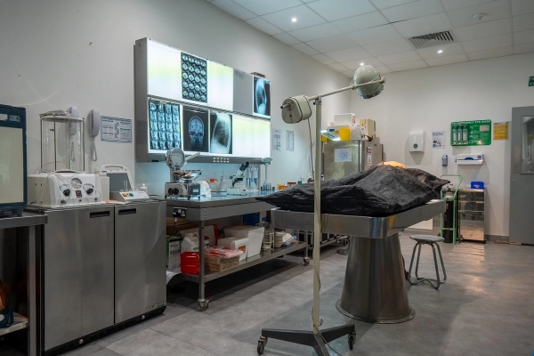 Morgue autopsy room set with stainless steel tables, illuminator light boxes, and medical tools, Love Locations UB4.