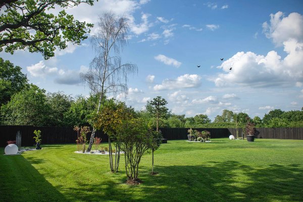 site image