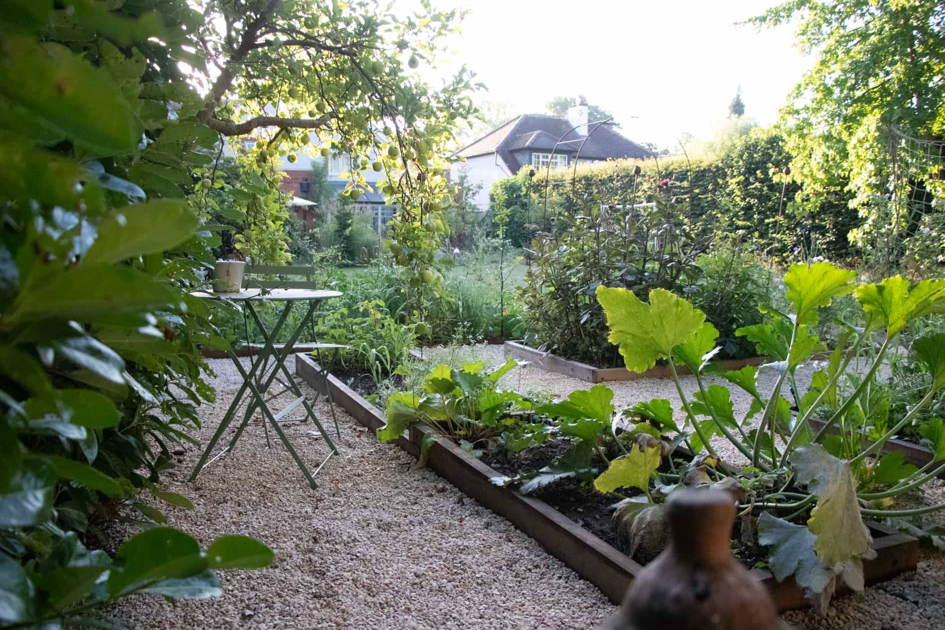 Contemporary garden setting at a modern house in Horsley, Surrey, ideal for film and photoshoots – Love Locations.