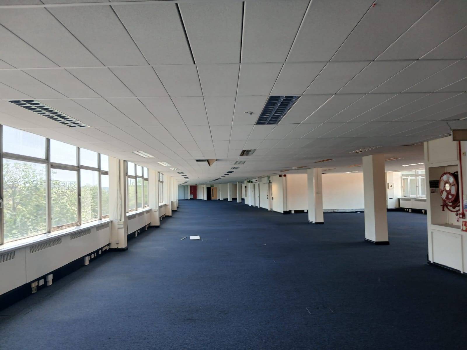 Vast, empty open-plan office film location in Watford WD18 available through Love Locations, featuring blue carpets, a low ceiling, and a long curved wall of windows.