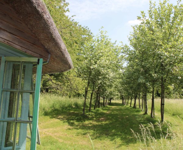 site image