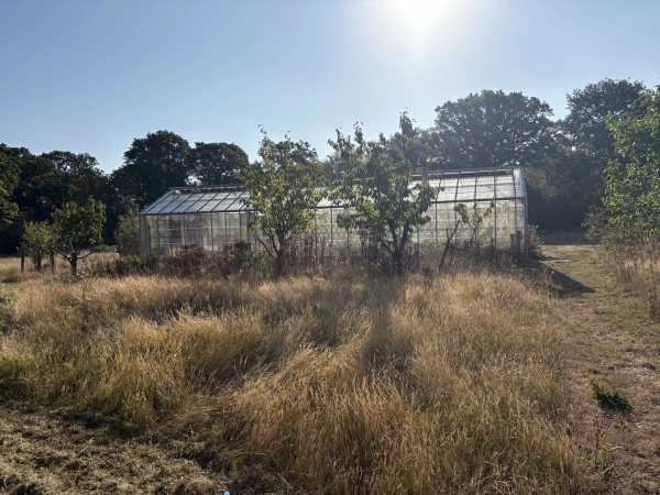 Industrial farm glasshouse surrounded by wild grassy fields and mature trees in Lewes, Love Locations BN8.