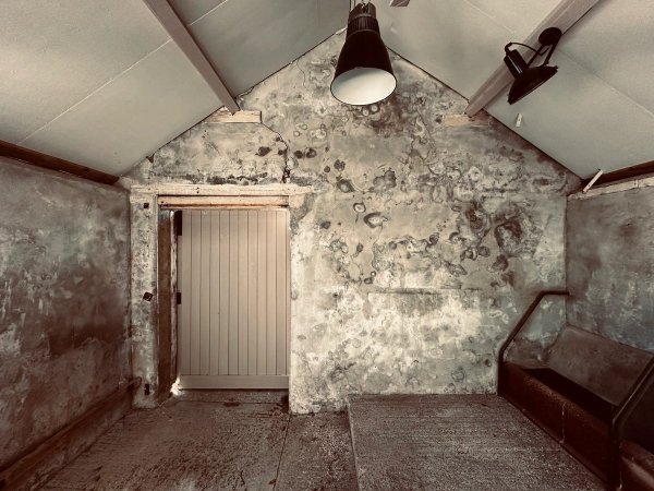 site image
