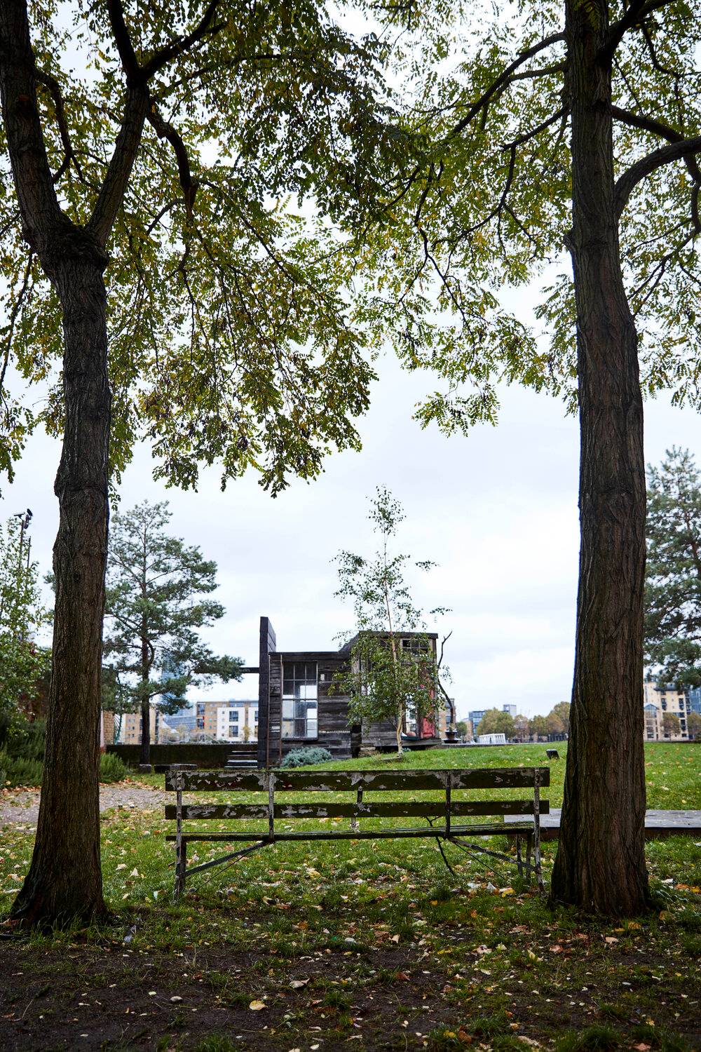 Lush green garden grounds framed by mature trees looking towards a rustic timber outbuilding in Deptford, Love Locations SE8.