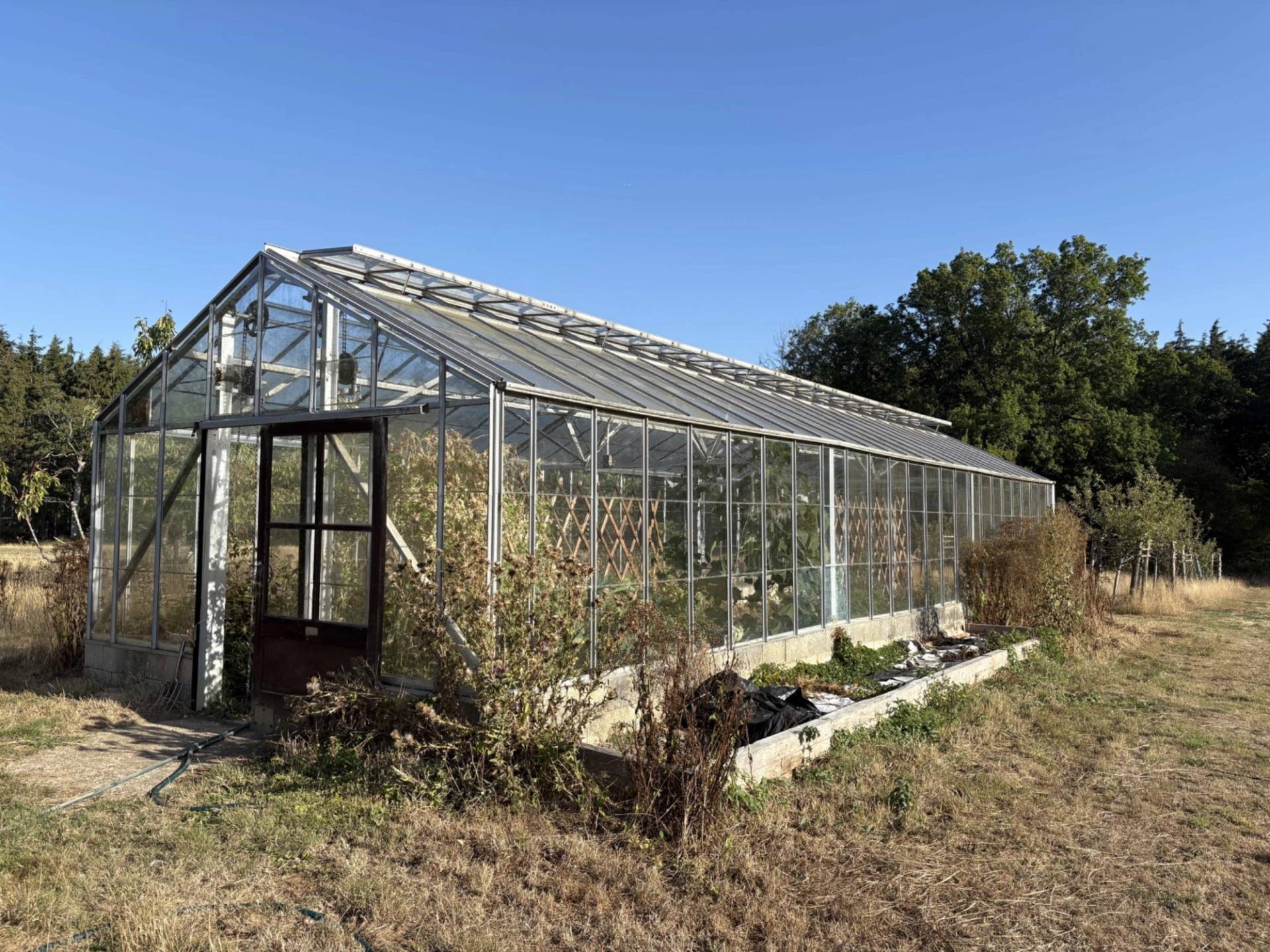 Rustic glass greenhouse structure set amongst open overgrown fields and countryside, Love Locations BN8.
