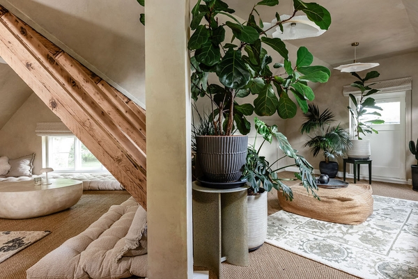 Detail of vaulted ceiling and indoor planting inside a unique Love Locations property in Liss, Hampshire GU33.