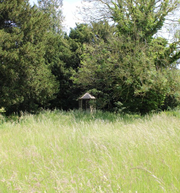 site image